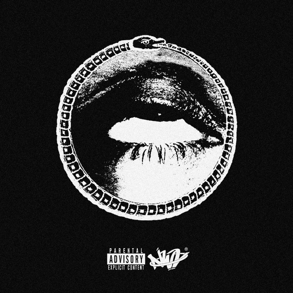 Visuel musical du projet D-Under Wrld